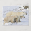 Suche nach manitoba postkarten Kirchenkirche