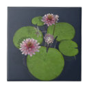 Suche nach rosa wasserlilien fliesen Teich