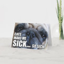 Suche nach kranke katze karten Hund