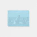 Suche nach whale post it Ozean