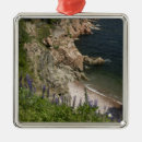 Suche nach malerisch ornamente Niemand