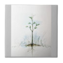 Suche nach samen fliesen Pflanze