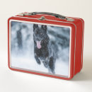 Suche nach schnee brotdosen Wolf