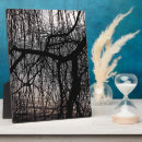 Suche nach baum fotoplatten Bäume