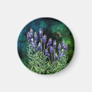 Suche nach duft magnete Jede person