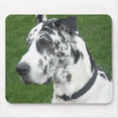 Suche nach dänen mousepads Great dane
