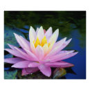 Suche nach buddha natur poster Blume