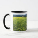 Suche nach feld der blumen tassen Wildblume