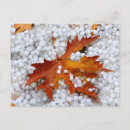 Suche nach ahornblatt postkarten Herbstblatt