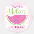 Suche nach wassermelonen aufkleber Eine melone