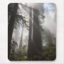 Suche nach mammutbaum mousepads Superstock
