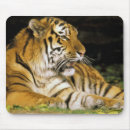 Suche nach zoo mousepads Katze