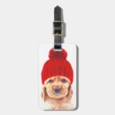 Suche nach cocker spaniel welpe Jede person