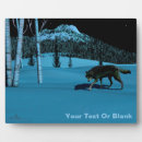 Suche nach wolf fotoplatten Tiere