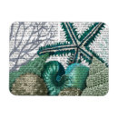 Suche nach muscheln magnete Tiere