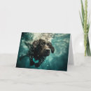 Suche nach unterwasser karten Anpassbare hundeprodukte