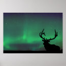 Suche nach northern lights poster Himmel