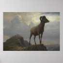 Suche nach albert bierstadt poster Western