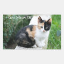 Suche nach phantom aufkleber Katze