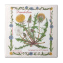 Suche nach löwenzahn fliesen Mit blumen