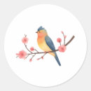 Suche nach singvögel aufkleber Jede person