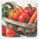 Suche nach frische tomaten aufkleber Nahrung