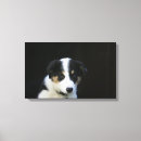 Suche nach bob leinwandbilder Foto