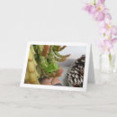 Suche nach nymphen karten Jede person