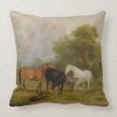 Suche nach fohlen kissen Stuten