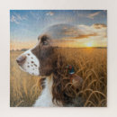 Suche nach springer spaniel puzzle Hund