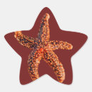 Suche nach starfish aufkleber Marine