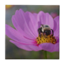 Suche nach wild lebende tiere fliesen Fotografie