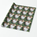 Suche nach rauer collie geschenkpapier Colliese