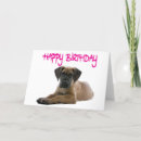 Suche nach great dane karten Welpen