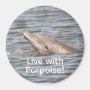 Suche nach dolphin magnete Natur