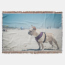 Suche nach französische bulldogge decken Haustiere