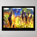 Suche nach hülsen poster Blume