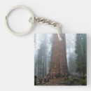 Suche nach sherman accessoires National