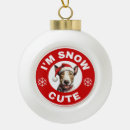 Suche nach bulle ornamente Schnee