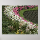 Suche nach rhododendron poster Botanisch