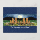 Suche nach raccoon postkarten Jede person