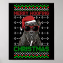 Suche nach hundeschlitten poster Niedlicher hund