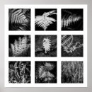 Suche nach detail poster Natur