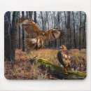 Suche nach falke mousepads Natur