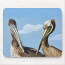 Suche nach zwei tiere mousepads Vögel