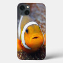 Suche nach rifffische Aquarium