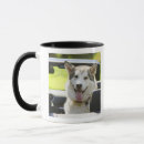 Suche nach heisere hunde tassen Haustiere