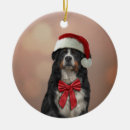 Suche nach weihnachtsmann hut ornamente Für sie/ihn