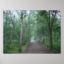Suche nach waldweg poster Baum