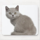 Suche nach woche mousepads Tier
